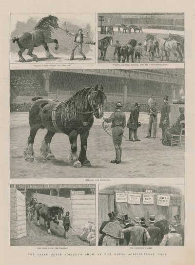 De show van de Shire Horse Society in de Royal Agricultural Hall door English School