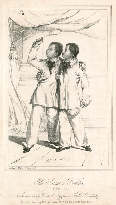 De Siamese Jongens (18 jaar oud), een nieuwe tentoonstelling in de Egyptische Hal, Piccadilly door English School