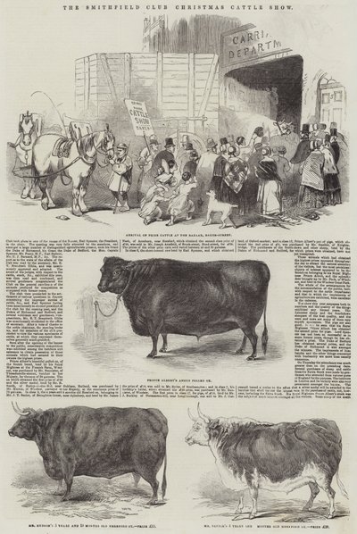 De Smithfield Club kerstveetentoonstelling door English School
