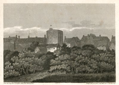 Het Zwanentheater aan de Bankside zoals het verscheen in 1614 door English School