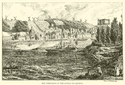 De wijngaarden van de Coteau de Saumur (gravure) door English School