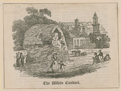 De White Conduit in Islington door English School