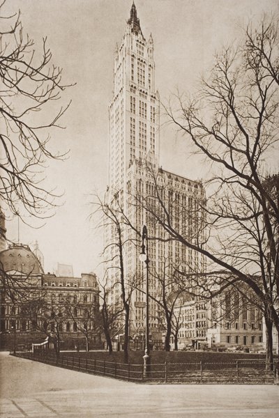 Het Woolworth Building, New York, illustratie uit 