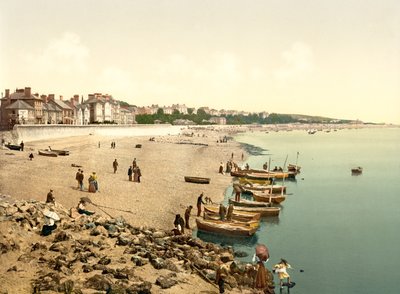 Het strand, Exmouth door English School