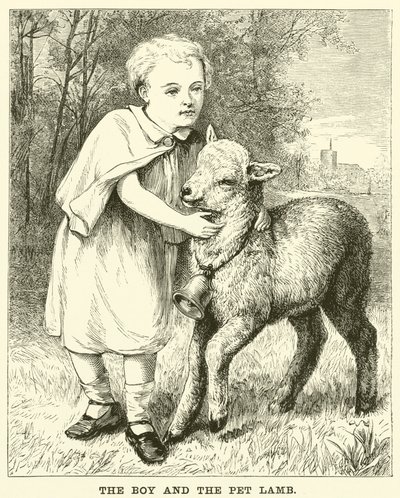 De jongen en het huisdier lam door English School