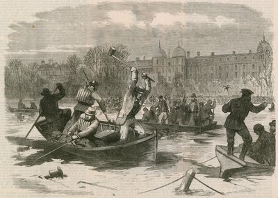 De ramp op het ijs in Regents Park; Het meer doorzoeken naar de doden door English School
