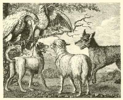 De hond en het schaap door English School