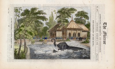 De olifant in zijn bad in de dierentuin in Regents Park door English School