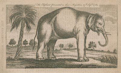 De olifant gepresenteerd aan hun Majesteiten door English School