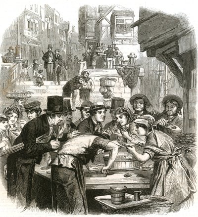 De eerste dag van oesters door English School
