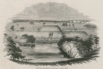 Het grote Palmhuis in de Koninklijke Tuinen, Kew, Londen door English School