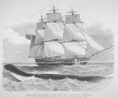 De grote zeeslang toen hij voor het eerst werd gezien vanaf HMS Daedalus in 1848, c.1848 (gravure) door English School