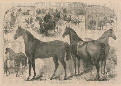 De Paardenshow in de Landbouwhal door English School