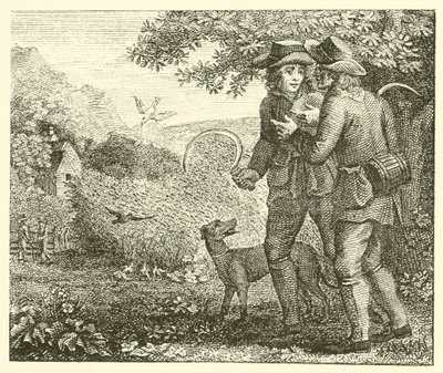 De leeuwerik en haar jongen door English School