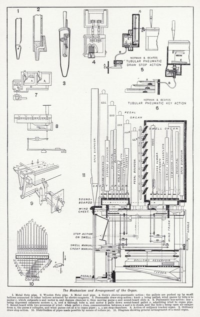 Het mechanisme en de opstelling van het orgel door English School
