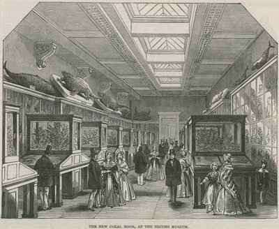 De nieuwe Koraalkamer in het British Museum door English School