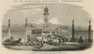 De nieuwe Metropolitaan Veemarkt, Kopenhagen Velden door English School