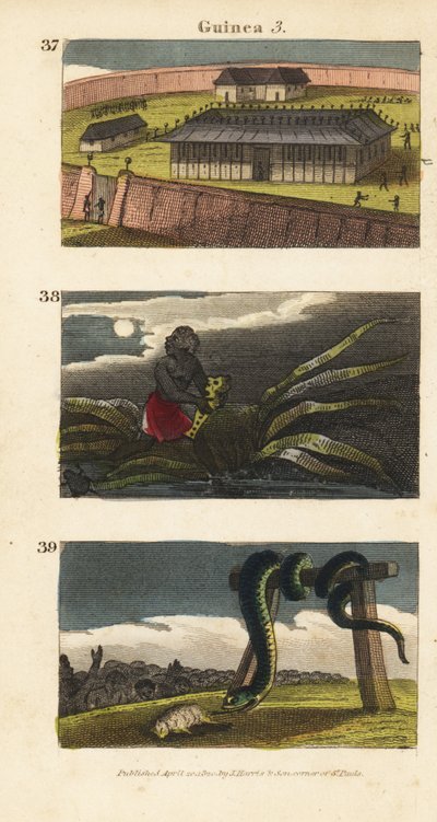 Het paleis van de koning van Dahomey in Abomey 37, een Afrikaanse man die een fetisj verbergt 38, en mensen van Whydah die een enorme slang aanbidden 39 door English School