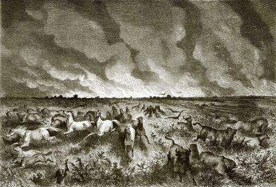 De prairie in brand door English School