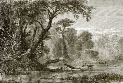 De rivier Phasis door English School
