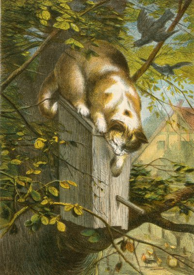 De spreeuw en zijn nest, en de kat door English School