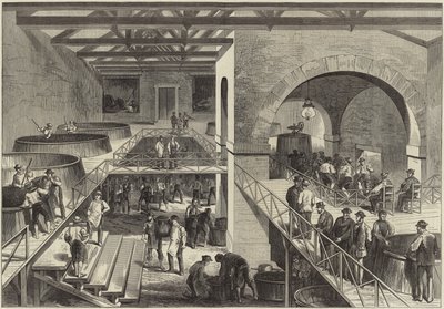 De wijnoogst van Medoc door English School