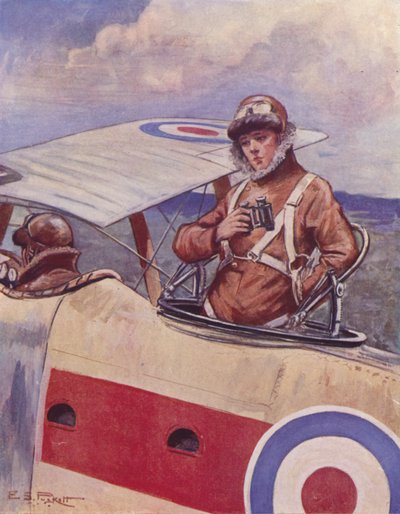 De oorlog in de lucht door English School