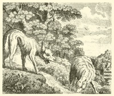 De wolf en het lam door English School