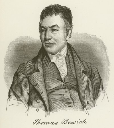 Thomas Bewick door English School