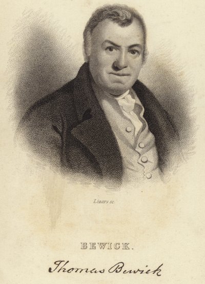 Thomas Bewick door English School