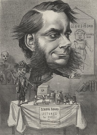 Thomas Henry Huxley, Engelse bioloog door English School