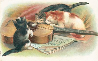 Drie katten spelen met een akoestische gitaar door English School