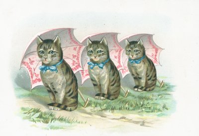 Drie katten zitten op een rij door English School