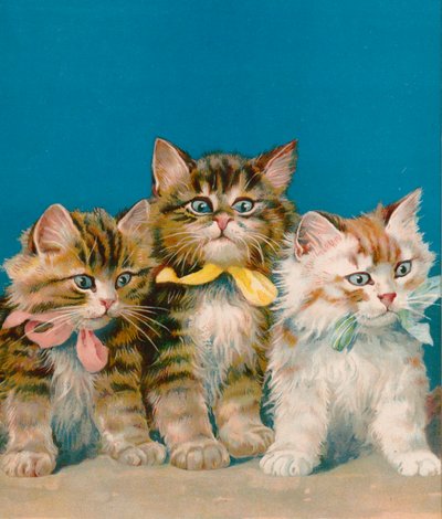 Drie kleine kittens door English School