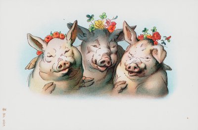 Drie varkens met bloemen op hun hoofd door English School