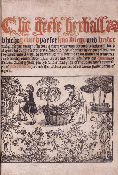 Titelpagina met een tuinscène met figuren door English School