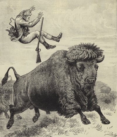 Gegooid door een prairie stier door English School