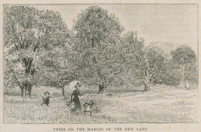 Bomen aan de rand van het nieuwe land door English School