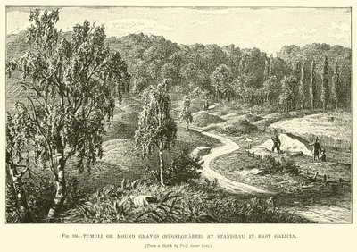 Tumuli of grafheuvels (Hügelgräber) bij Stanislau in Oost-Galicië door English School