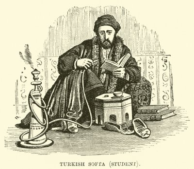 Turkse softa, student door English School