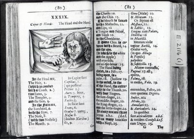 Twee pagina