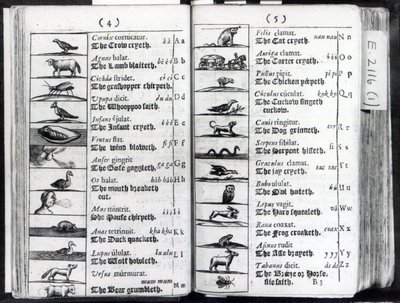 Twee pagina