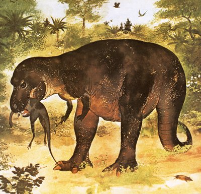 Tyrannosaurus eet een Struthiomimus door English School