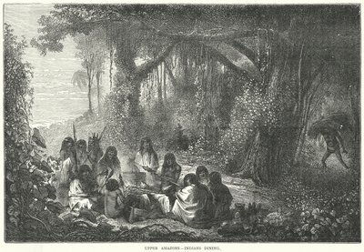 Boven Amazones - Dinerende Indianen (gravure) door English School