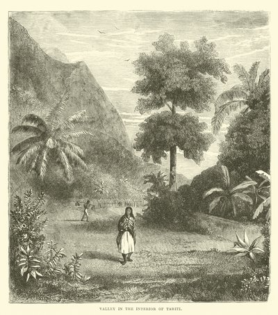 Vallei in het binnenland van Tahiti door English School