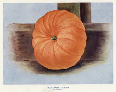 Gids voor Groentetelers: Mammoetkalebas of Pompoen (kleur litho) door English School