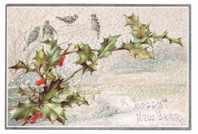 Victoriaanse nieuwjaarskaart van vogels op takken in de vallende sneeuw, ca. 1880 (kleur litho) door English School