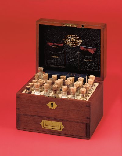 Victoriaanse homeopathische medicijnkist geproduceerd door James Epps & Co., midden 19e eeuw door English School