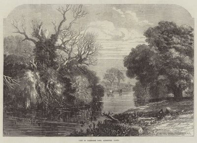 Uitzicht in Tichborne Park, Alresford, Hants door English School