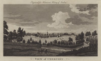 Uitzicht op Chertsey, Surrey (gravure) door English School